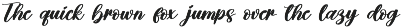 Honeymoon | Script Font preview
