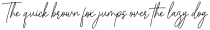 Gradientine Signature otf (400)