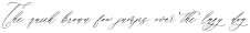 Parmidass Elarista Italic otf (400)