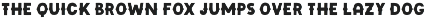 Wildheart | Font Family + Elements preview