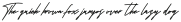 Architaris otf (400)