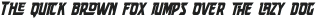 Speed Endurance Medium Italic otf (500)