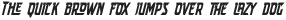 Speed Endurance Thin Italic otf (100)