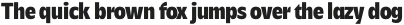 Savior Sans Condensed Extrabold otf (700)