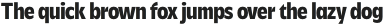 Savior Sans Condensed Bold otf (700)