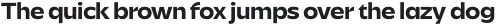 Savior Sans Expanded Bold otf (700)