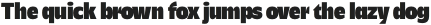 Savior Sans Condensed Heavy otf (800)