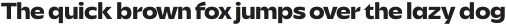 Savior Sans Expanded Extrabold otf (700)