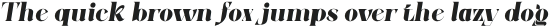 Zenoa BlackItalic otf (900)