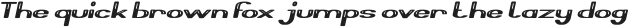 Thermometer Italic otf (400)