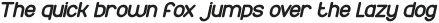 Times New Romance Bold Italic otf (700)