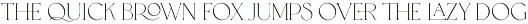 Tokyo Dreams Display Ligature Serif font preview