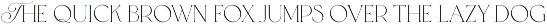 Tokyo Dreams Display Ligature Serif preview