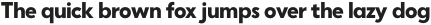 Punkto Extra Bold otf (700)