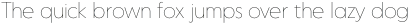 Punkto Thin otf (100)