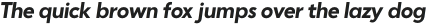 Punkto-BoldItalic otf (700)