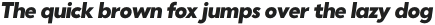 Punkto Black Italic otf (900)