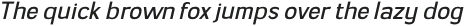 Genia Light Italic otf (300)