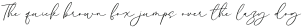 Alyson Signature otf (400)