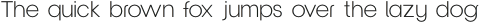 Clover Display Light otf (300)