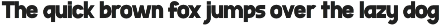 Mulane preview