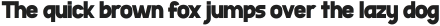 MULANE Black ttf (900)