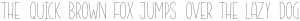Candlewick Light ttf (300)