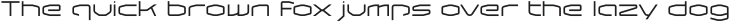 Borga Regular otf (400)
