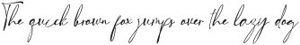 Royal Signature Italic otf (400)