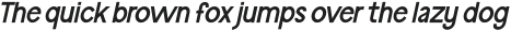 Paris Van Java Italic otf (400)