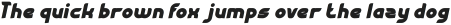 Flying Bird Bold Italic otf (700)