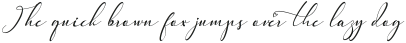 Pretty Willie Italic otf (400)