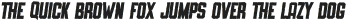 SLIMEDUNK ITALIC ROUGH otf (400)
