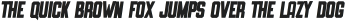 SLIMEDUNK ITALIC otf (400)