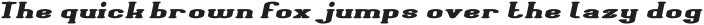 Giant Universe Bold Italic otf (700)