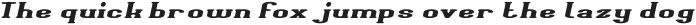 Giant Universe Italic otf (400)
