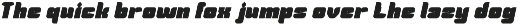 Guardian font preview