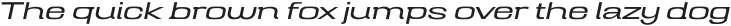 Mugio Light Slanted otf (300)