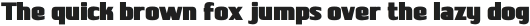 SHARUNG Black otf (900)