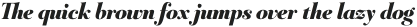 Mr Gabe Black Italic otf (900)