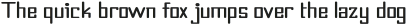 Timer-Bold otf (700) Sample
