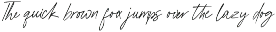 the stylish babes. modern script font preview