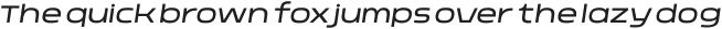 Nordt Light Italic otf (300)