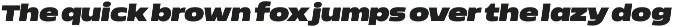 Nordt preview