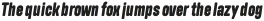 Polate Soft D4 Black Italic ttf (900)