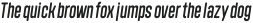 Polate Soft B2 Italic ttf (400)