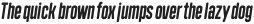 Polate Soft A1 Bold Italic ttf (700)