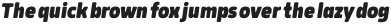 Rohyt Slim ExtraBold Italic otf (700)