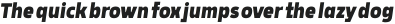 Rohyt Geometric Slim Bold Italic otf (700)