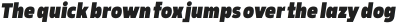 Rohyt Geometric Slim Black Italic otf (900)
